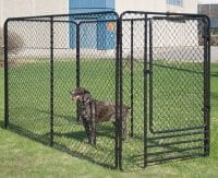 Chain link fence for dog cage