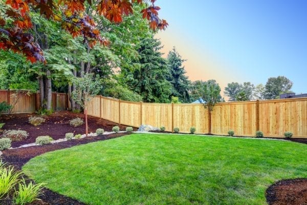 Beautiful backyard with newly replaced wood fence
