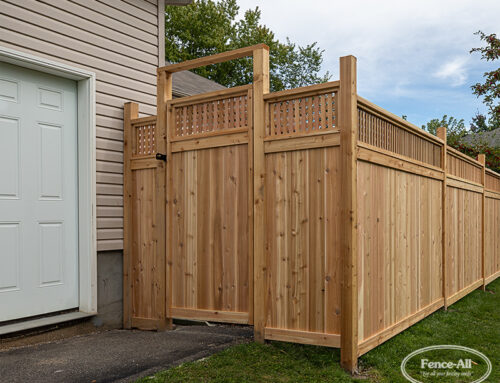 What’s the difference between softwood and hardwood?