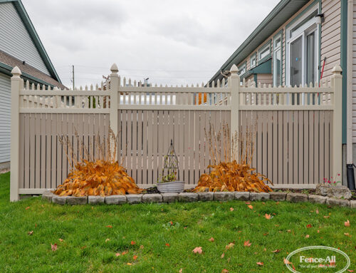 How can I add a pop of colour to my fence?