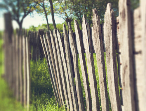 Devrais-je réparer ou remplacer ma clôture en bois?