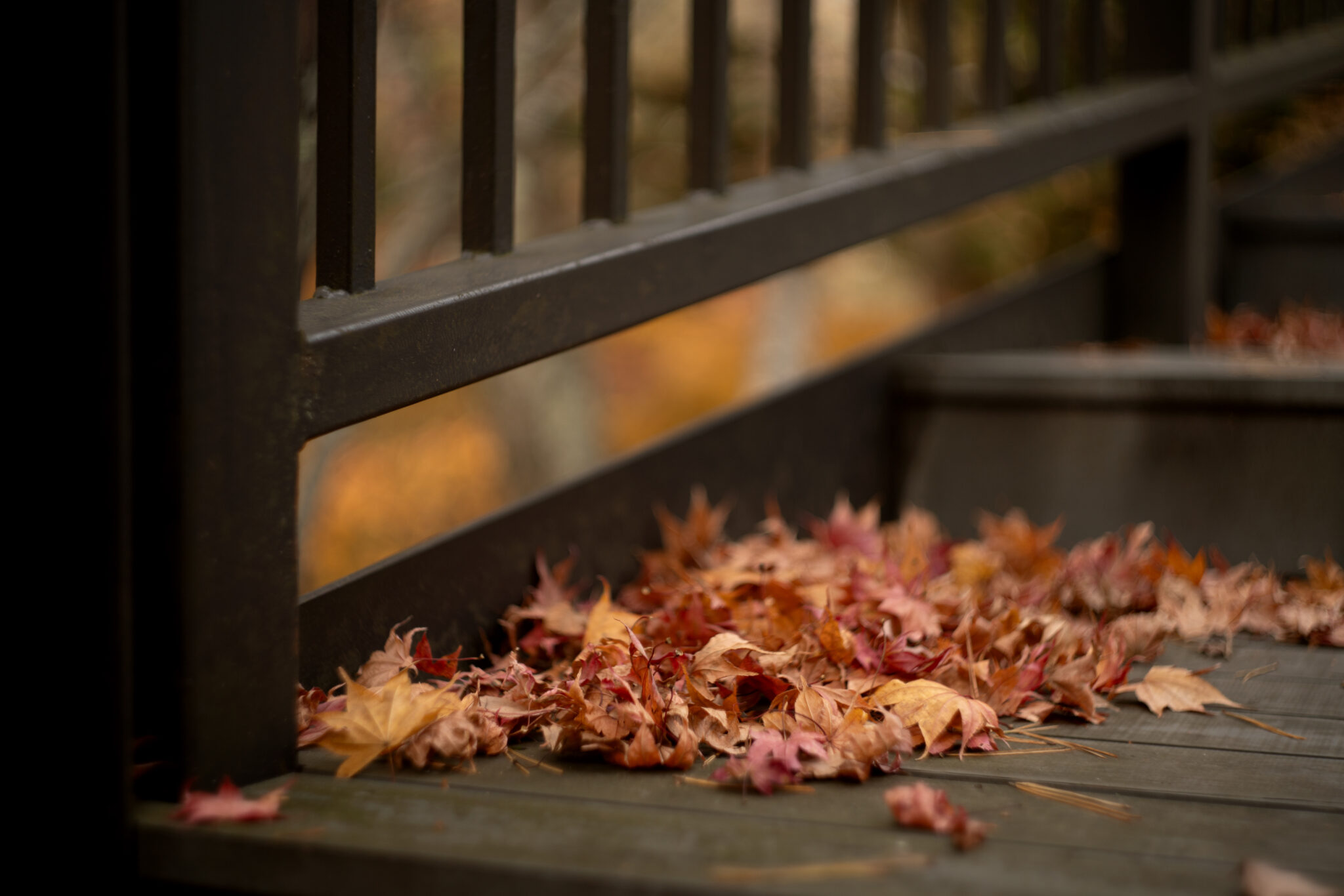 feuilles d'automne sur la terrasse