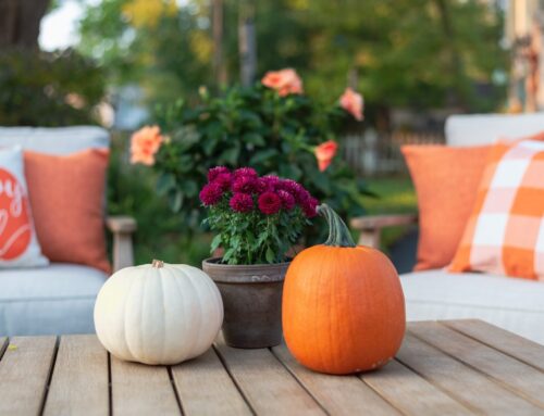 7 raisons pour lesquelles l’automne est le moment idéal pour installer votre clôture ou terrasse