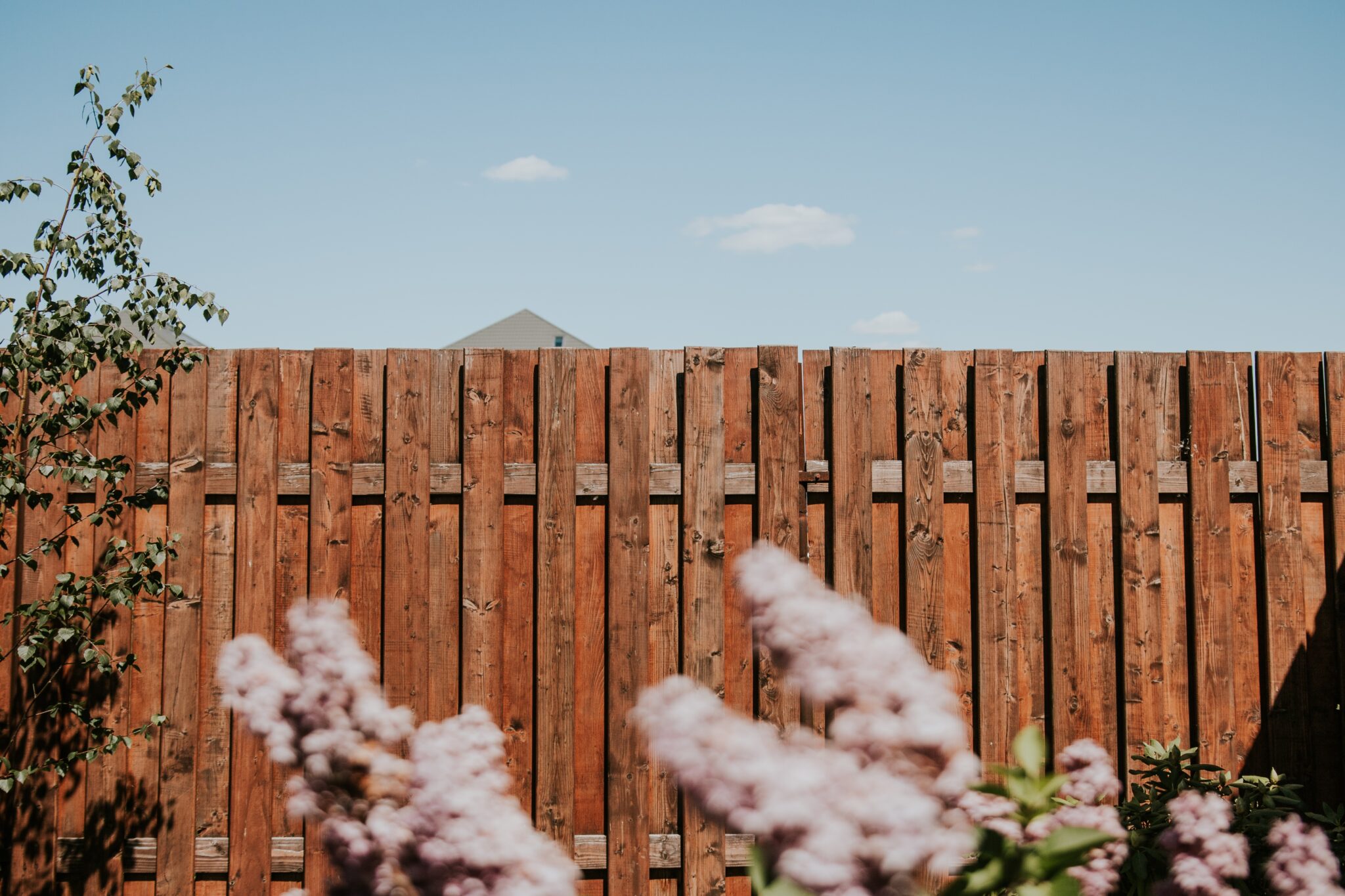 A fence in the spring