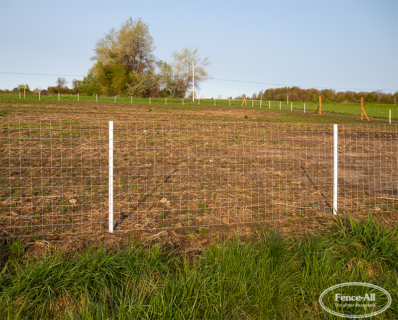 sheep & goat fence