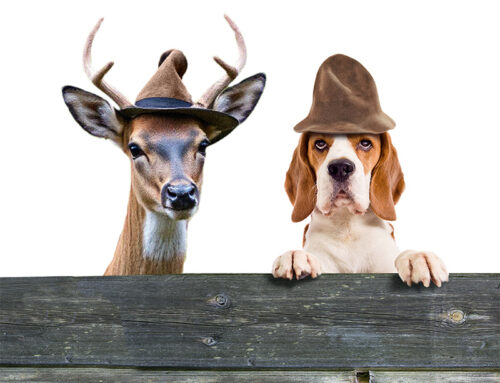 Do Deer Perceive Fences the Same Way Dogs Do?