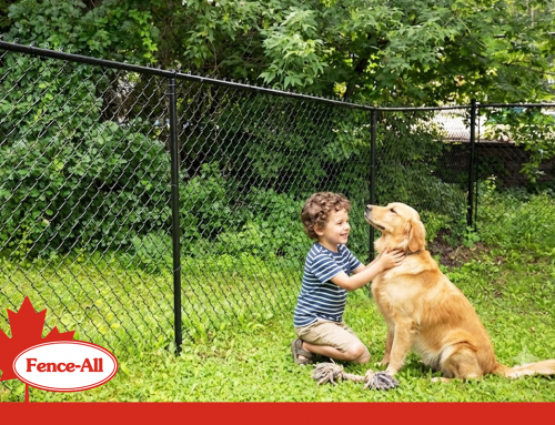 Chain Link Fence Cost in 2026: Full Pricing Breakdown